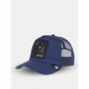 Gorra Black Panther de Goorin  GOORIN BROS