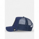 Gorra Black Panther de Goorin  GOORIN BROS