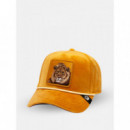 Gorra Lion Royalty de Goorin  GOORIN BROS