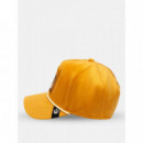Gorra Lion Royalty de Goorin  GOORIN BROS