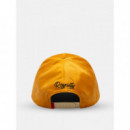 Gorra Lion Royalty de Goorin  GOORIN BROS