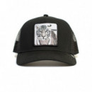 Gorra Goorin The White Tiger  GOORIN BROS