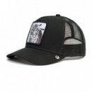 Gorra Goorin The White Tiger  GOORIN BROS