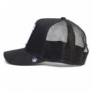 Gorra Goorin The White Tiger  GOORIN BROS