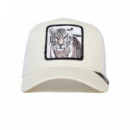 Gorra Goorin The White Tiger  GOORIN BROS