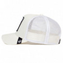 Gorra Goorin The White Tiger  GOORIN BROS