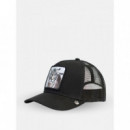 Gorra Goorin The White Tiger  GOORIN BROS
