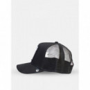 Gorra Goorin The White Tiger  GOORIN BROS