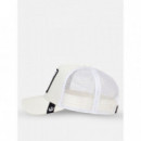 Gorra Goorin The White Tiger  GOORIN BROS