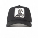 Gorra The Stallion de Goorin  GOORIN BROS