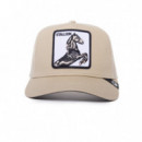 Gorra The Stallion de Goorin  GOORIN BROS