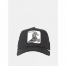 Gorra The Stallion de Goorin  GOORIN BROS
