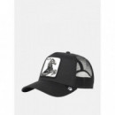 Gorra The Stallion de Goorin  GOORIN BROS