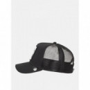 Gorra The Stallion de Goorin  GOORIN BROS