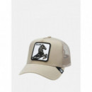 Gorra The Stallion de Goorin  GOORIN BROS