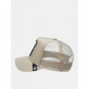 Gorra The Stallion de Goorin  GOORIN BROS