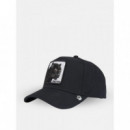 Gorra Panther Field 100 de Goorin  GOORIN BROS
