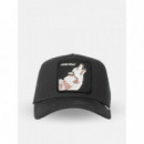 Gorra Lone Wolf de Goorin  GOORIN BROS