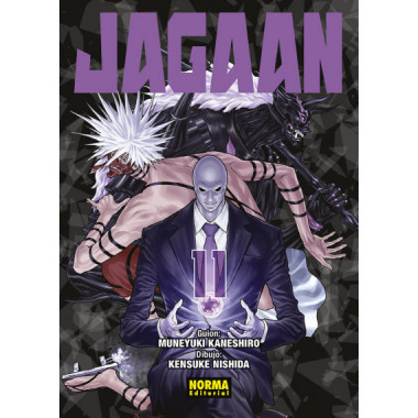 JAGAAN 11