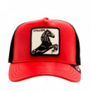 Gorra Shleather Stallion  GOORIN BROS