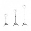 KSIX Aro de Luz Led Selfie para Movil 14W con Tripode 160CMS Studio Live Max Negro