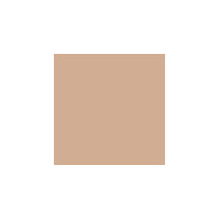 CLARINS Tinted Oleo