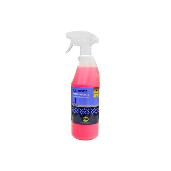 LIMPIADOR DESINCRUSTANTE PROFESIONAL 750 ml