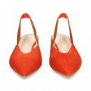 sin Talon ante Teja  LODI