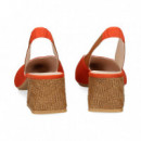 sin Talon ante Teja  LODI