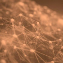 Sérum Excellage Serum Sérum Antiarrugas Global  INSTITUT ESTHEDERM