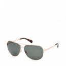 Gafas de Sol TB00029  TIMBERLAND