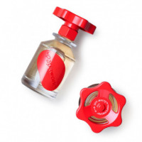 Solution No. 4  OFF-WHITE