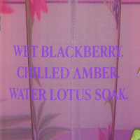 Blackberry Bite  VICTORIA'S SECRET