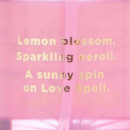 Love Spell Sol  VICTORIA'S SECRET