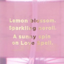 Love Spell Sol  VICTORIA´S SECRET