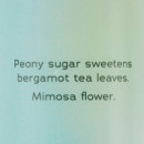 Petal Plush Clouds  VICTORIA´S SECRET