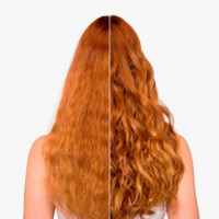 Colormotion+ Champú Protección del Color Cabello Teñido  WELLA