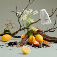 Quercus  PENHALIGON'S