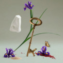 The Omniscient Mr Thompson  PENHALIGON'S