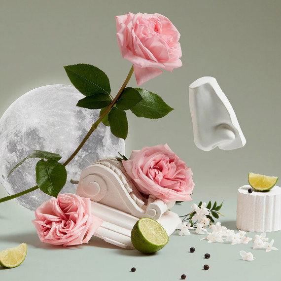 Gel de Manos y Cuerpo Moon  PENHALIGON'S - Guanxe Atlantic Marketplace