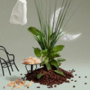 Scent Library  PENHALIGON'S