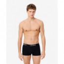 Pack de 3 Boxers Courts Noir  LACOSTE