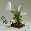 Endymion  PENHALIGON'S