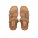 LODE2 Beige Brown  GUESS