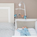 Carrusel Musical Forest  OLMITOS