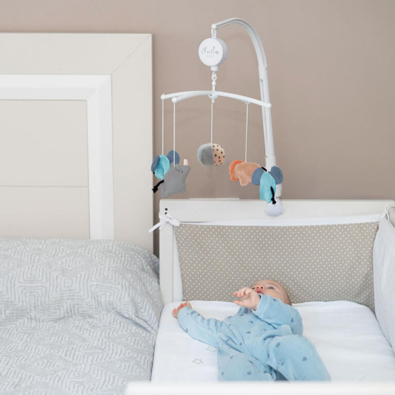 Carrusel Musical Forest  OLMITOS