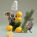 Blenheim Bouquet  PENHALIGON'S