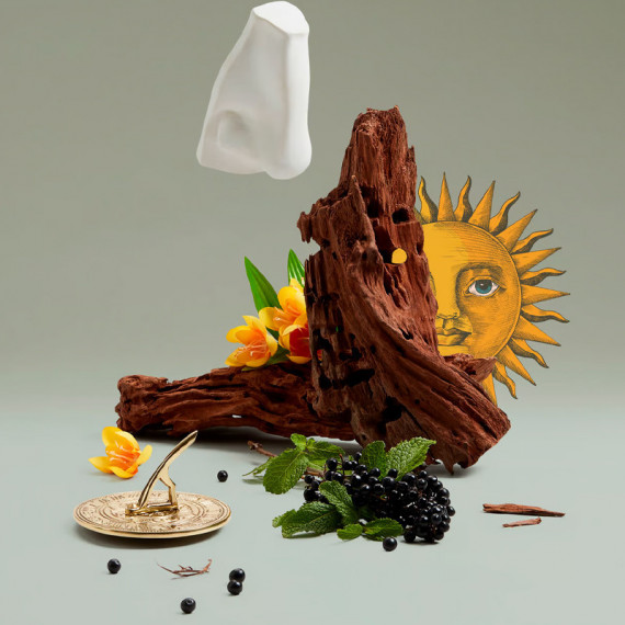 Solaris  PENHALIGON'S