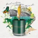 Comoros Pearl Vela Aromática  PENHALIGON'S