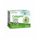 Zentrum Colageno + Cannabis 30 Sob.  YNSADIET